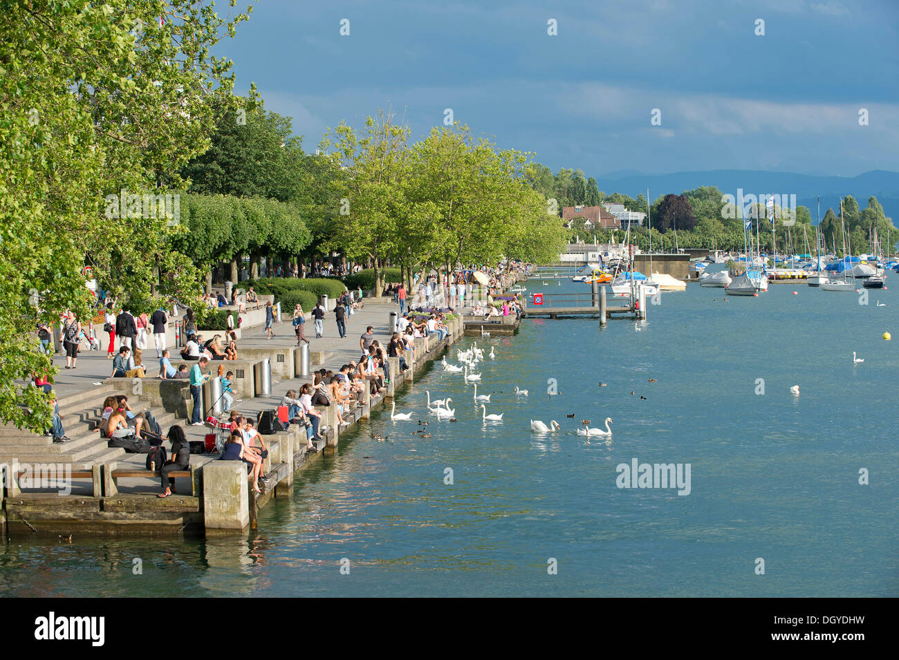 El lago de Zurich, Utoquai quay, Zurich, Suiza, Europa Foto de stock