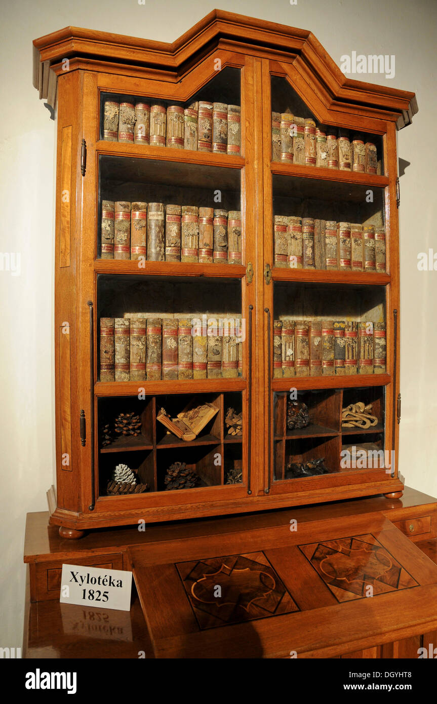 Libros muy antiguos, biblioteca, Monasterio de Strahov, Hrad&#269;Any, Distrito del Castillo, Praga, República Checa, Europa Foto de stock