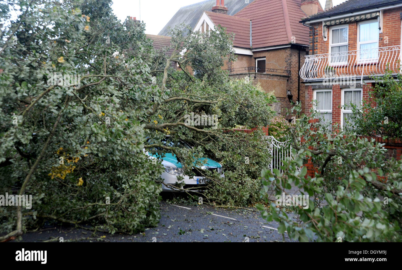 Brighton Sussex, Reino Unido el 28 de octubre de 2013 - un taxi está enterrado bajo un árbol caído en la Avenida Nizells Hove como tormentas que arrasaron la costa sur esta mañana la tormenta, denominada St Jude, trajo el clima más ventosos para golpear el Reino Unido desde 1987. Crédito: Simon Dack/Alamy Live News Foto de stock