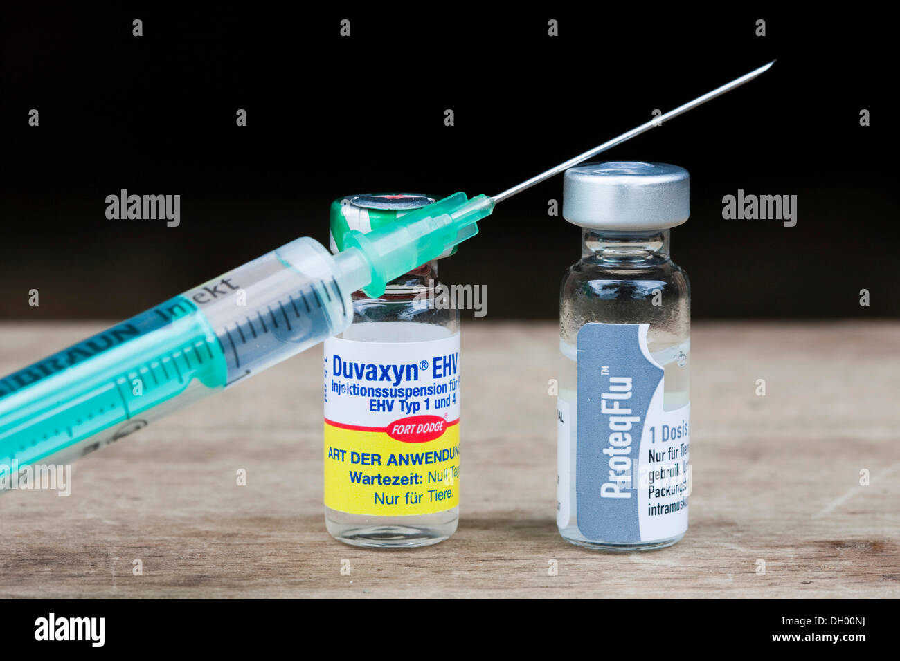 Vacuna contra el herpes y la vacuna antigripal para caballos, botellas de suero y una aguja de inyección Foto de stock