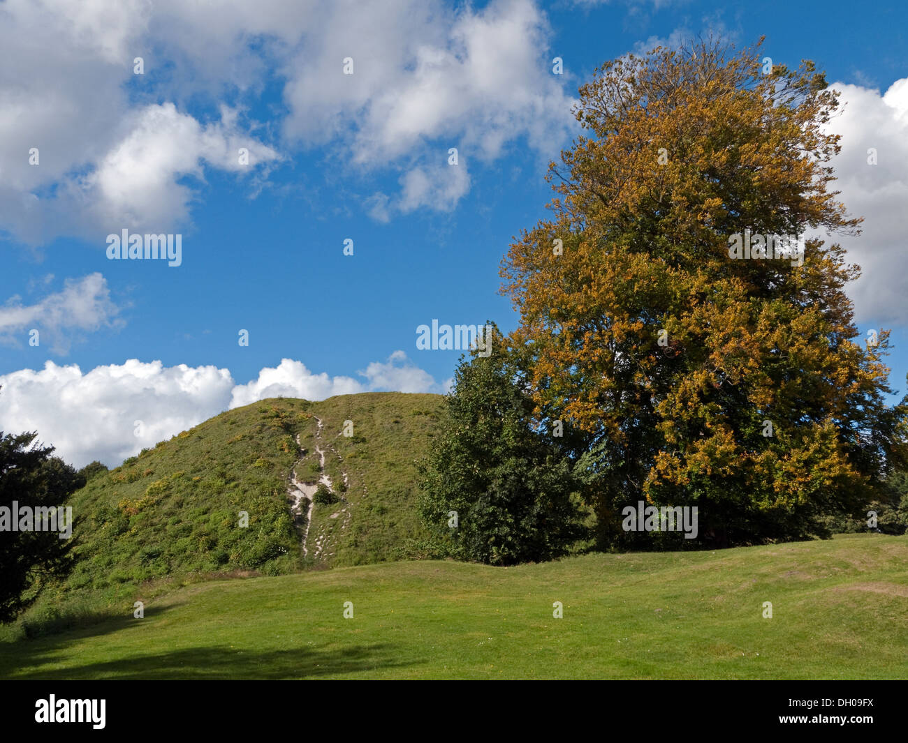 El castillo normando montículo en el Castillo Prado, Thetford, Norfolk, Inglaterra Foto de stock