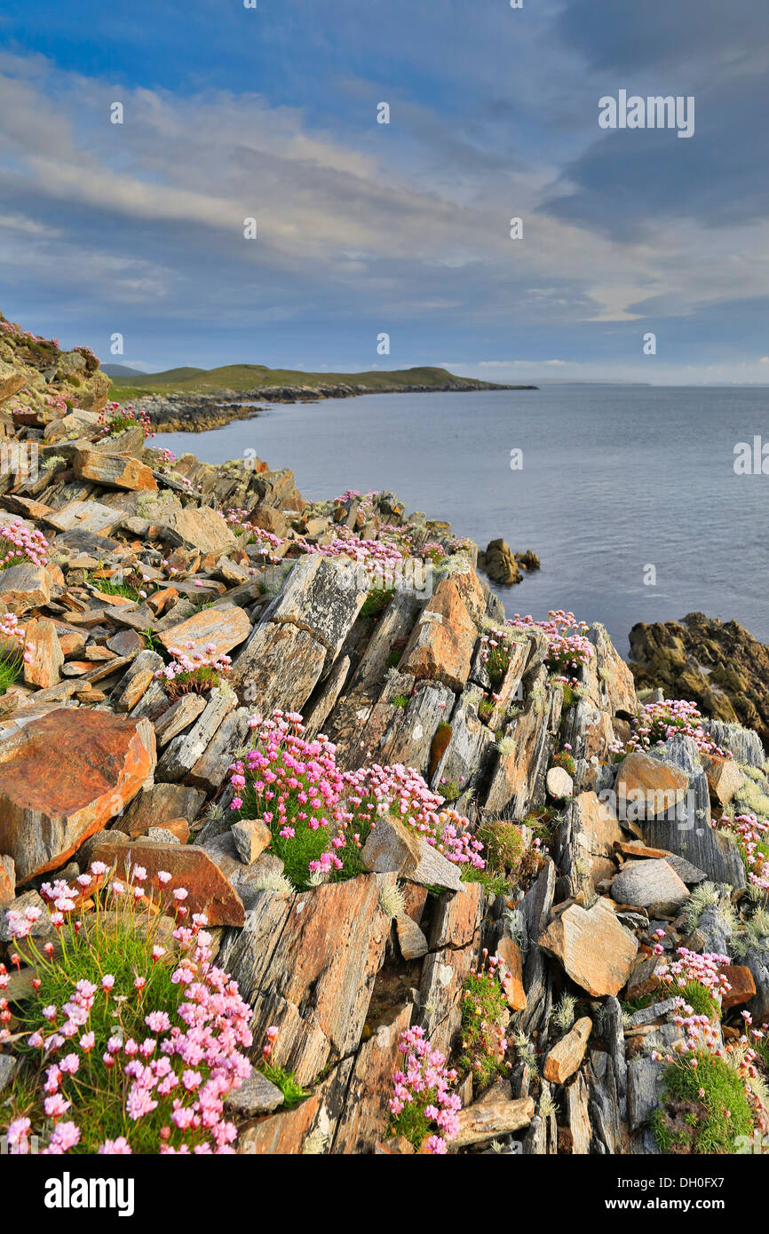 West Sandwick; gritar; Shetland; UK Foto de stock