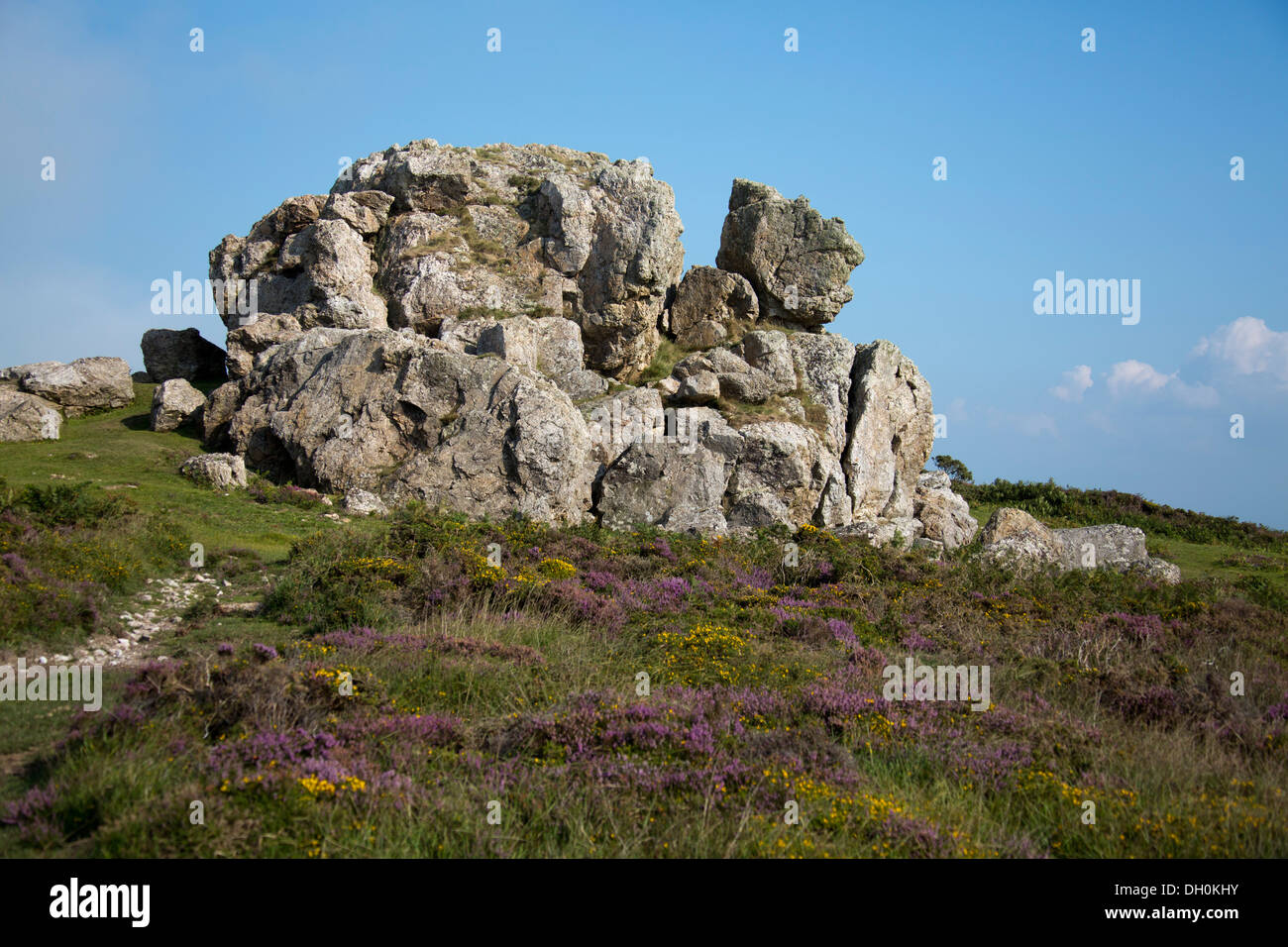 Rocas de Plumstone con cielo azul y brezo Camrose Pembrokeshire Gales Reino Unido. Plumstone Mountain Round Barrows (Oeste) Foto de stock