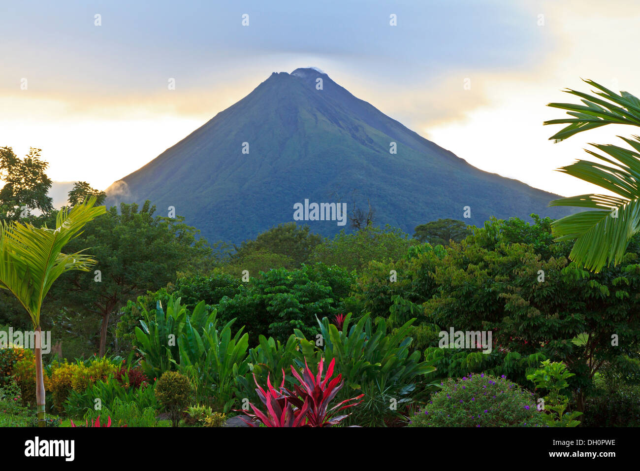 Un exuberante jardín en La Fortuna, Costa Rica con el Volcán Arenal en el fondo Foto de stock