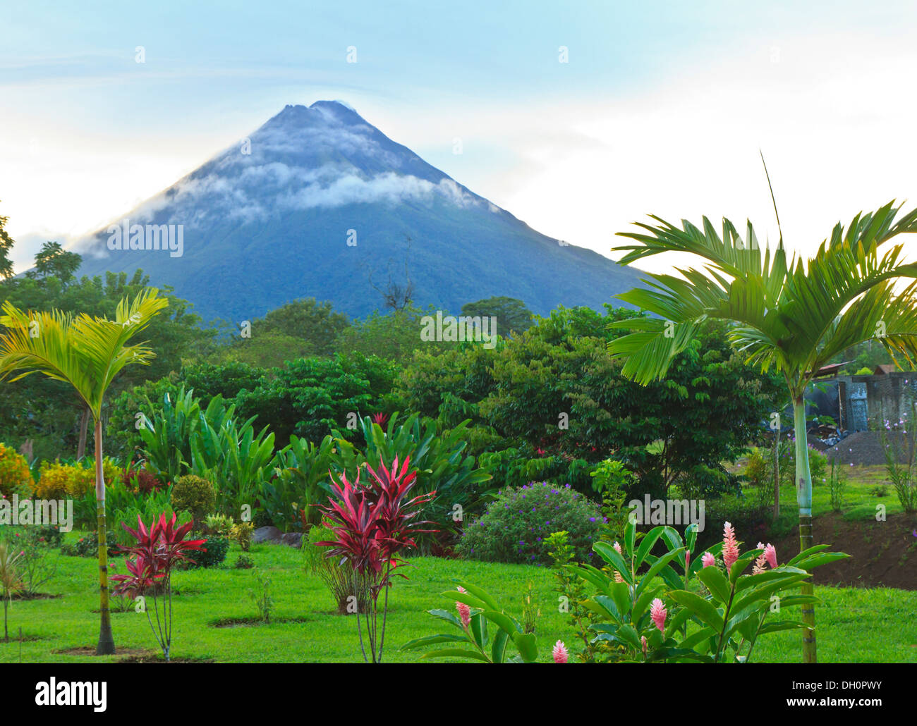 Un exuberante jardín en La Fortuna, Costa Rica con el Volcán Arenal en el fondo Foto de stock