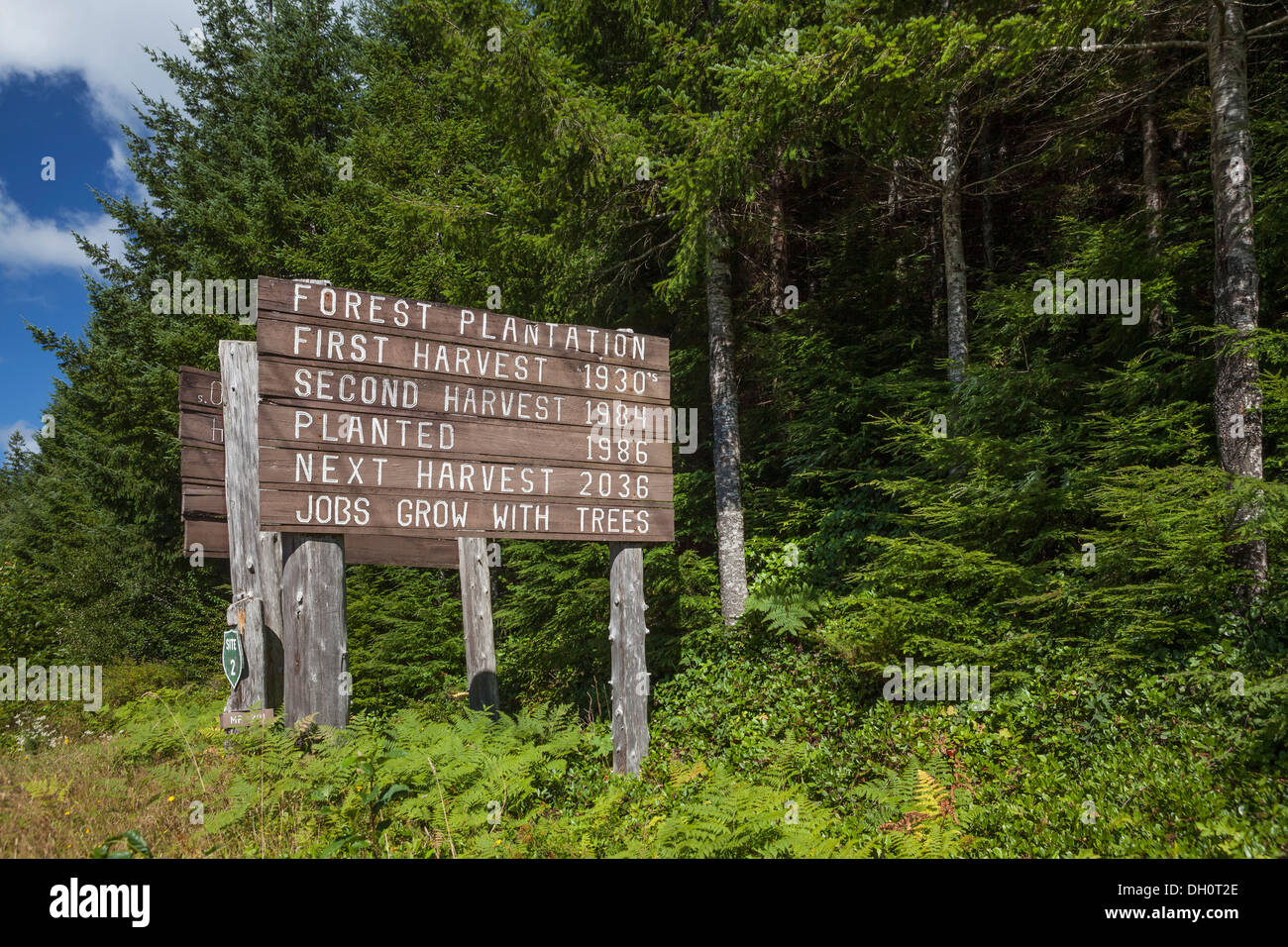 Tree Farm firmar mostrando fechas de cosecha justo en las afueras de Parque Nacional Olímpico, la Península Olímpica, Washington Foto de stock
