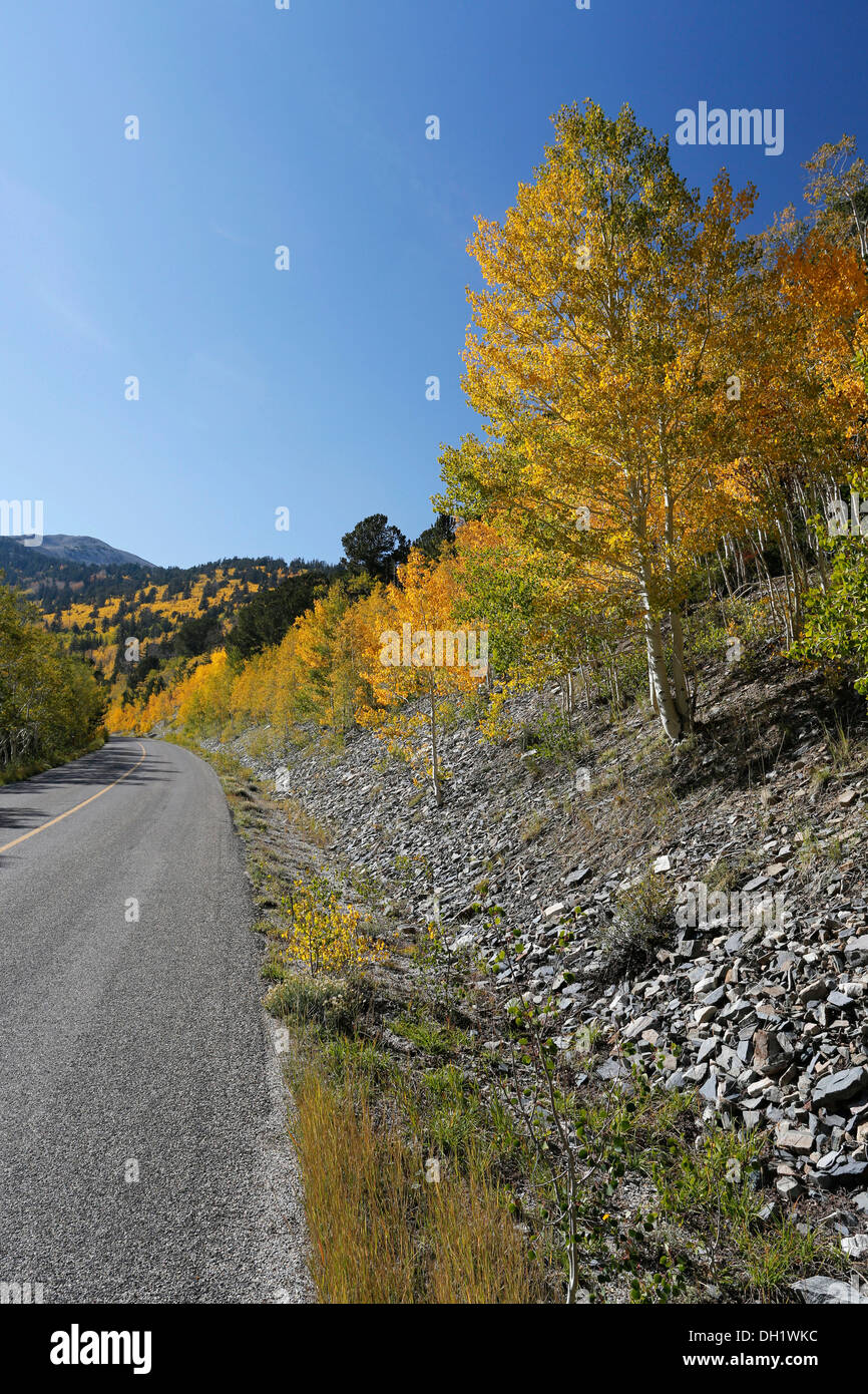 Un camino en el Wheeler Peak en otoño, el Parque Nacional de la Gran Cuenca, Nevada, EE.UU. Foto de stock