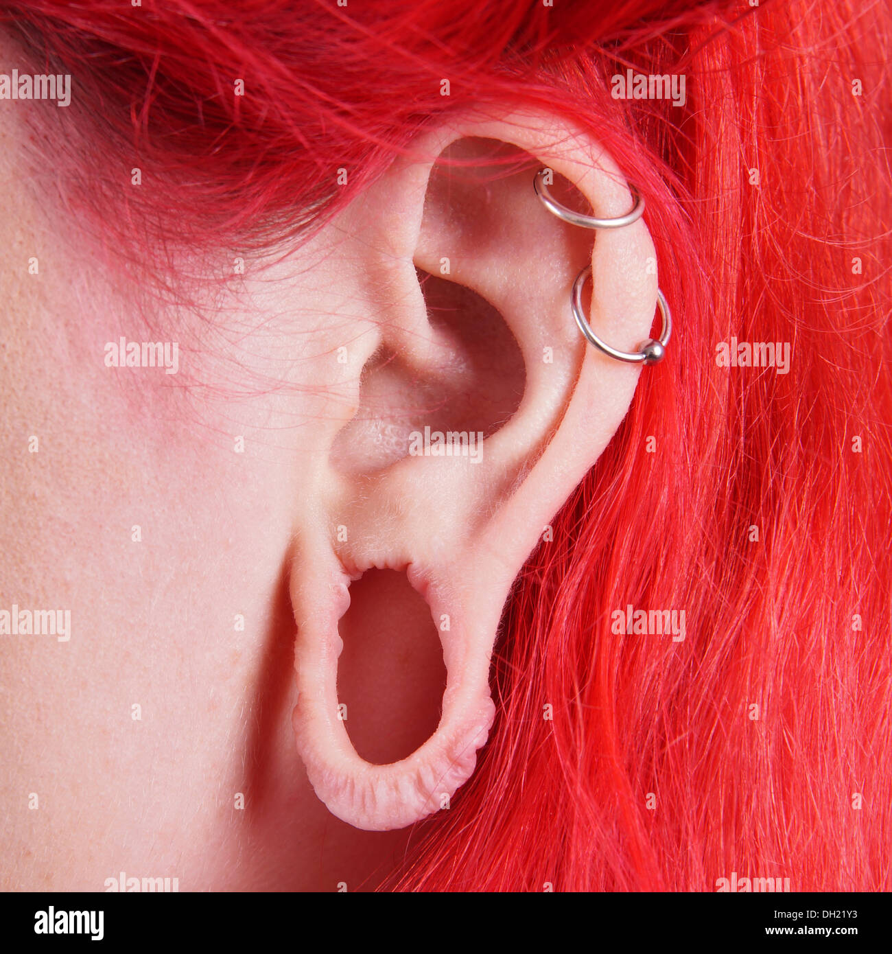 Estira el piercing del lóbulo de la oreja y 2 helix piercings Fotografía de  stock - Alamy