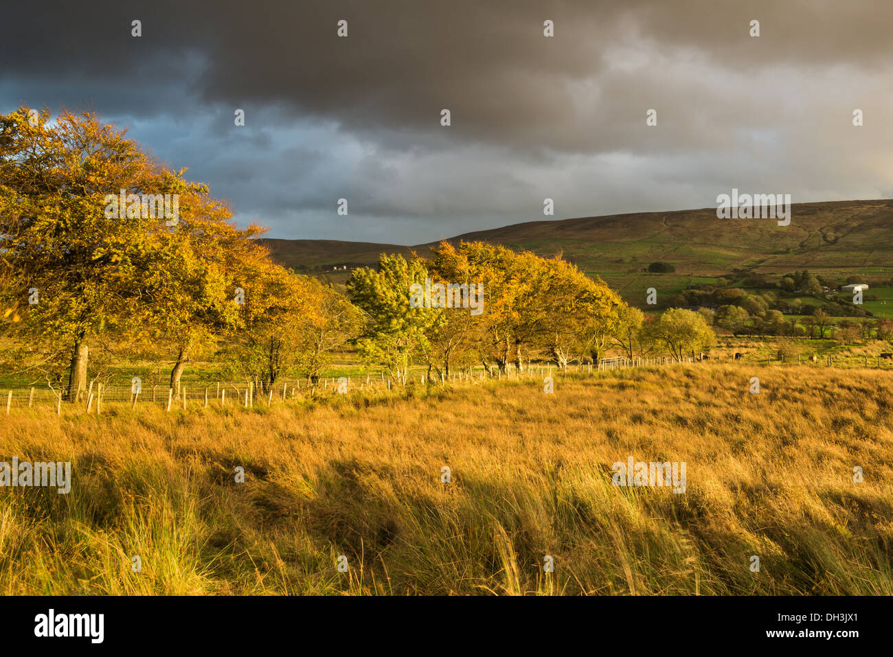 Cañadas de Antrim, Irlanda del Norte Foto de stock
