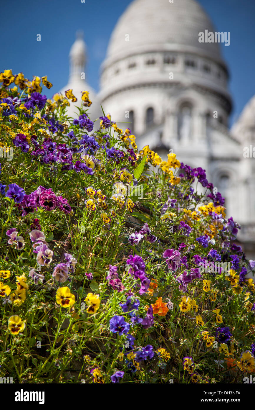 Coloridas flores debajo Basilique du Sacre Coeur de Montmartre, París Francia Foto de stock