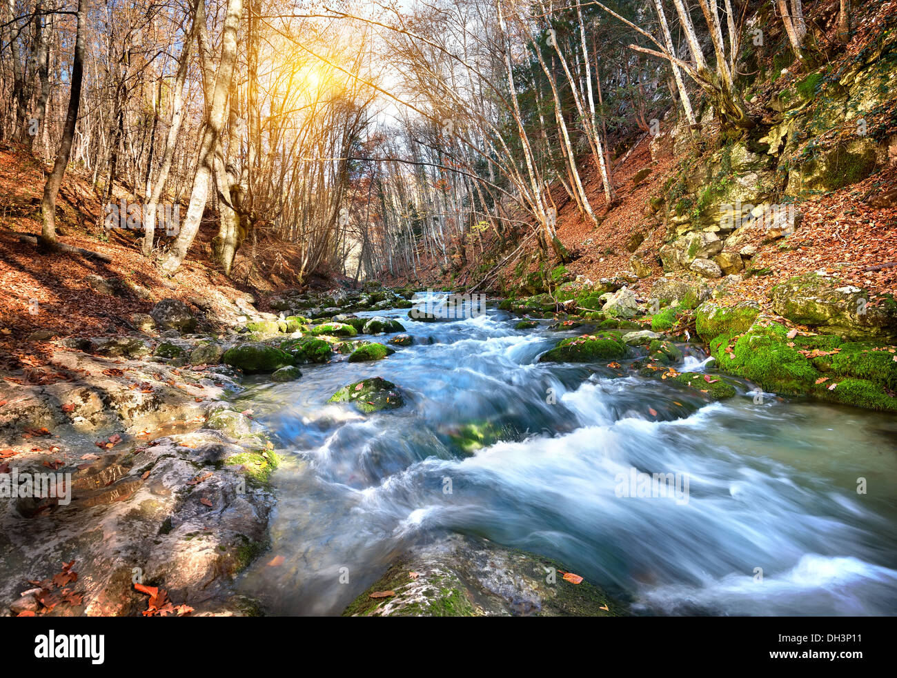 Río rápido en un bosque de montaña en un día soleado Foto de stock