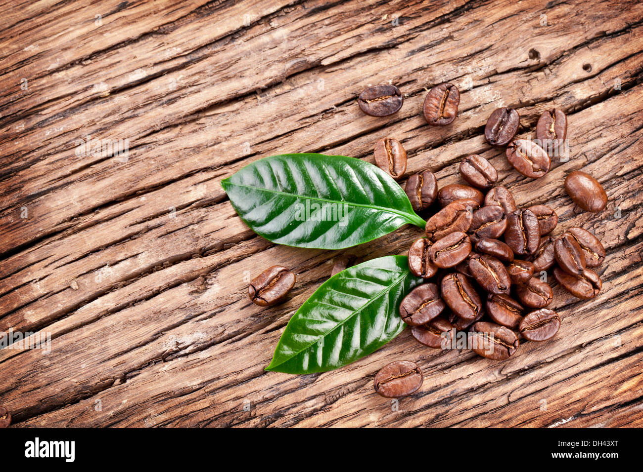 Café tostado en grano y deja aislado sobre un fondo de madera. Foto de stock