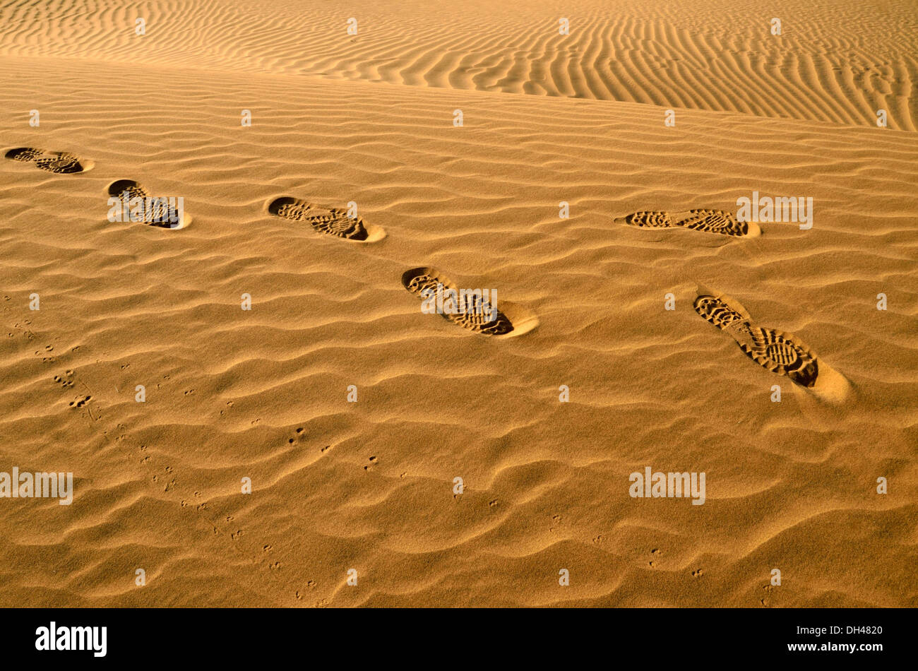 Huellas de zapata en la arena del desierto de Rajasthan India Asia Foto de stock