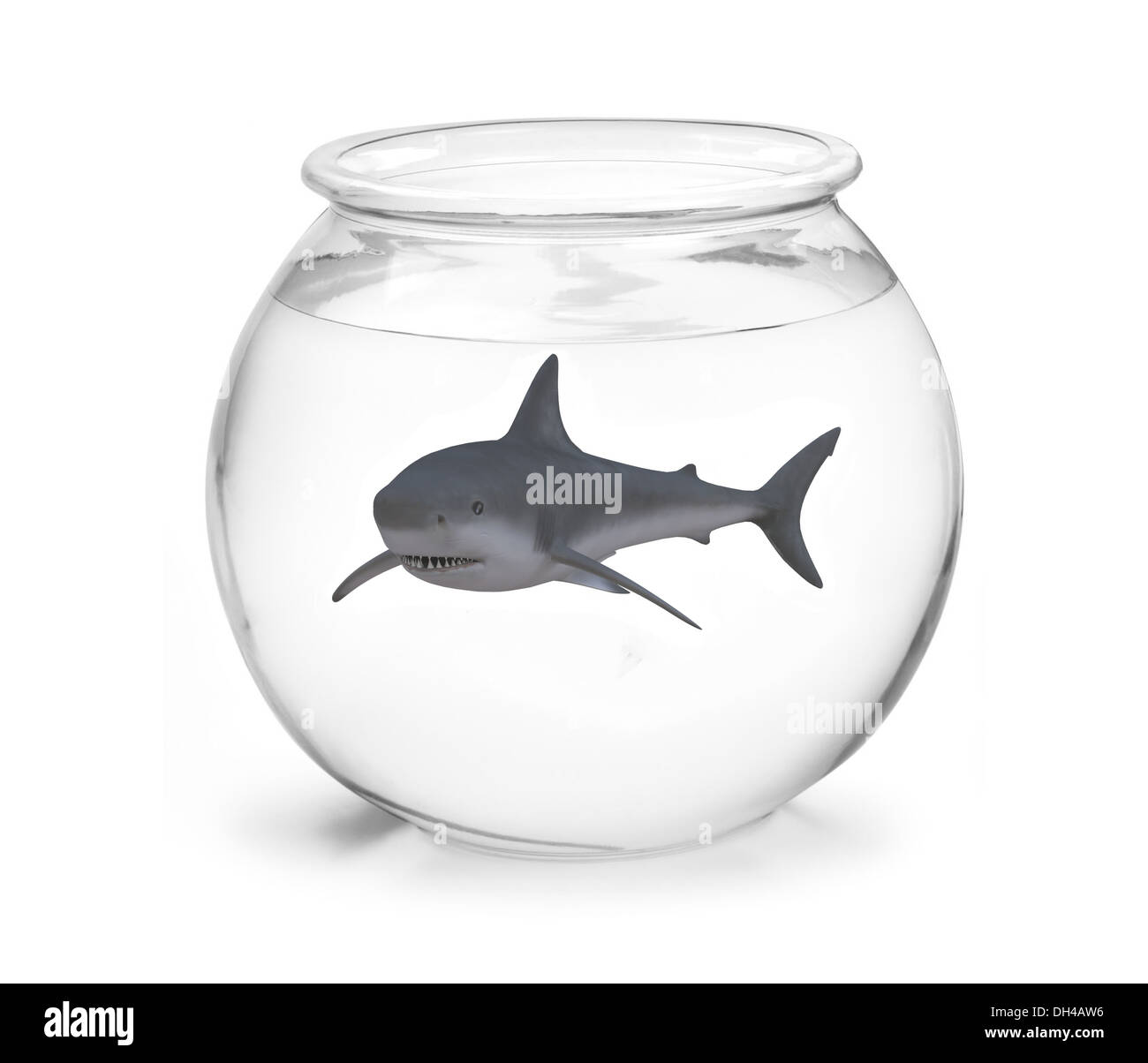 Acuario con tiburon Imágenes recortadas de stock - Página 3 - Alamy