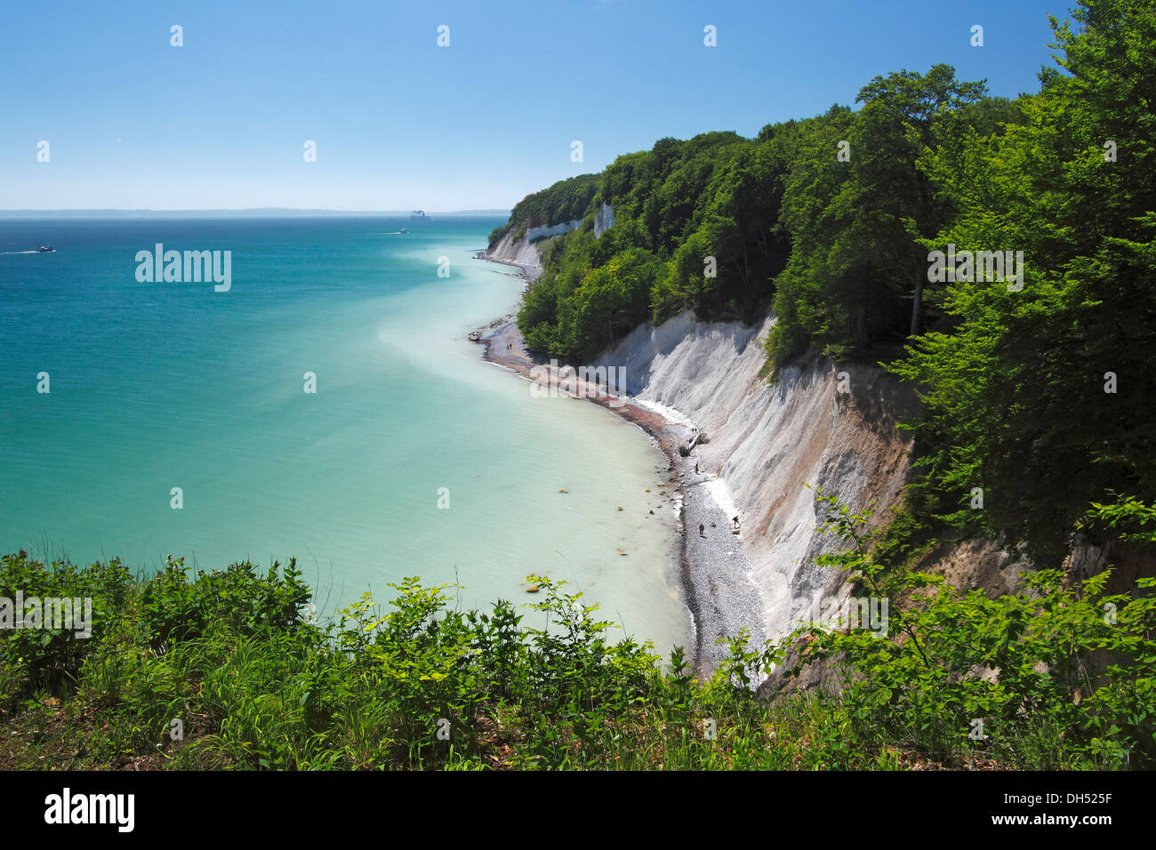 Acantilados de tiza, costa del Mar Báltico, Beech Grove, Sitio del Patrimonio Mundial de la UNESCO, el Parque Nacional Jasmund, en la isla de Ruegen Foto de stock