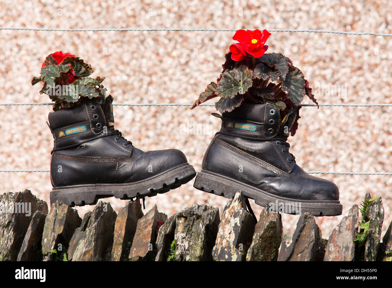 Penrhyn estación del ferrocarril de vapor de Blaenau Ffestiniog - un par de botas  negras con flores Fotografía de stock - Alamy
