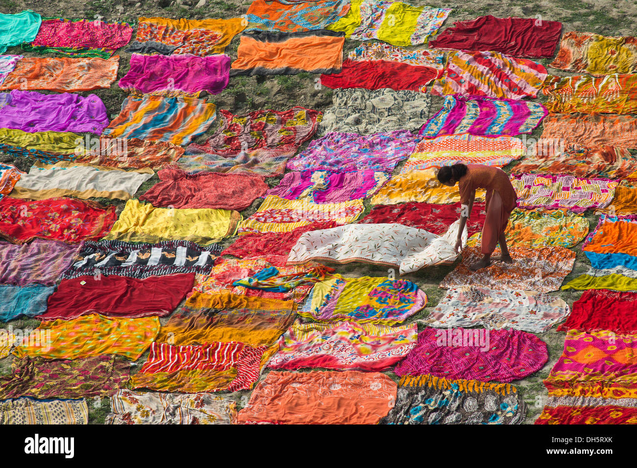 Coloridos saris propagación a secar, una joven mujer extendiendo otro sari en el suelo, am Flussufer Yamuna, Agra, Uttar Pradesh Foto de stock
