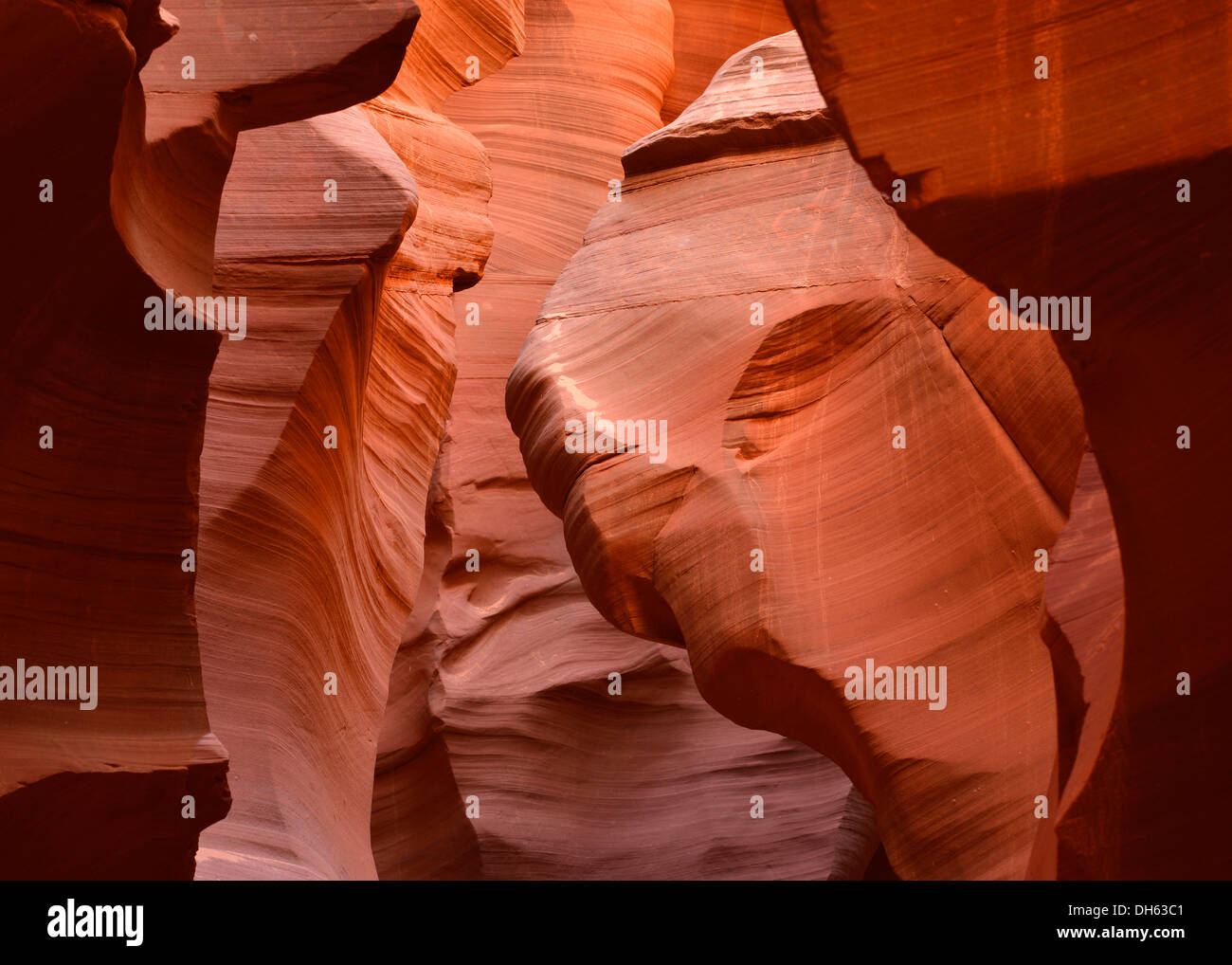 La piedra arenisca roja de la formación Moenkopi, formaciones rocosas, colores y patrones, baje el Antelope Canyon, sacacorchos Cañón de ranura Foto de stock