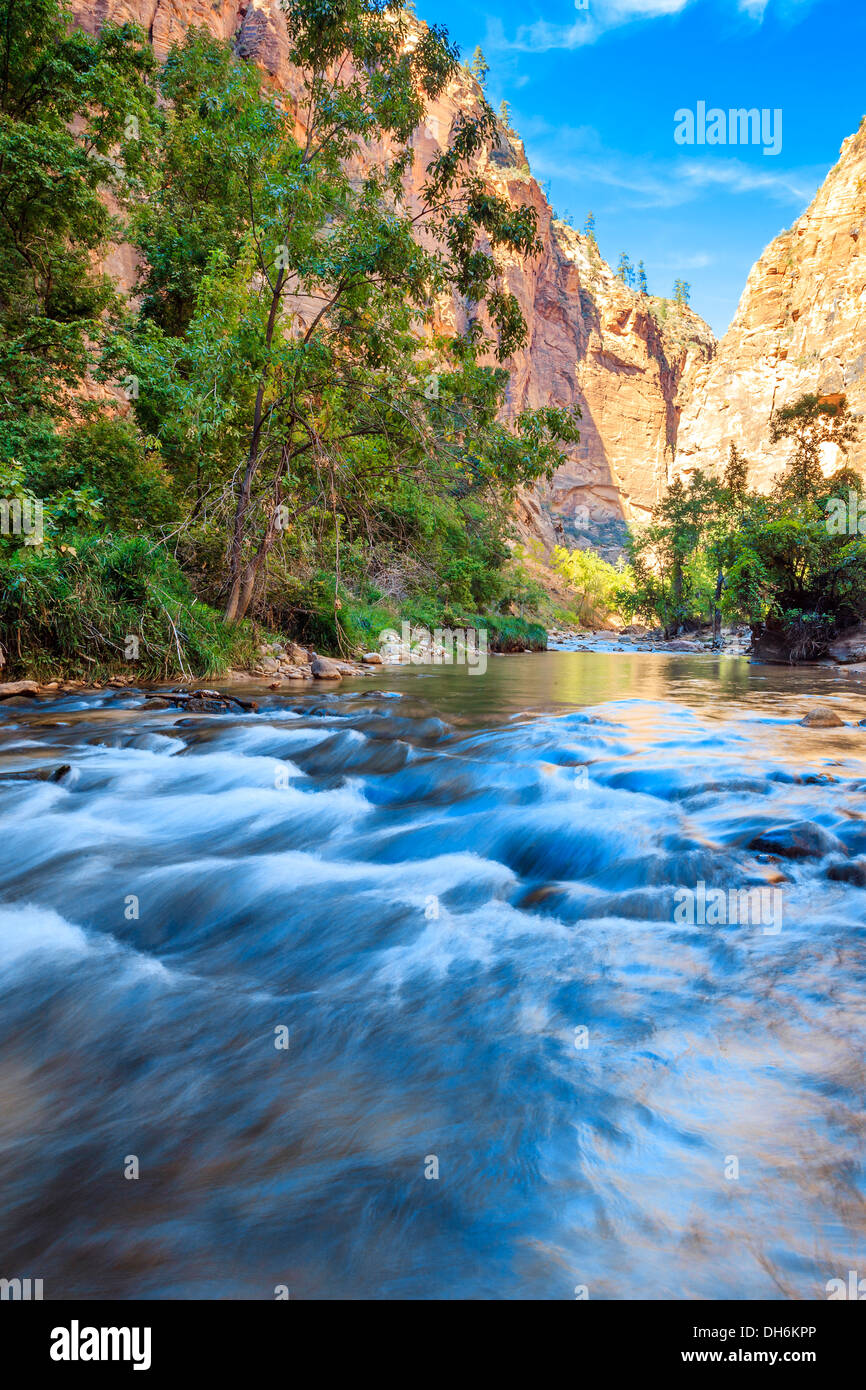 Rapids superficial del Virgin River limita con el Parque Nacional de Zion - Utah Foto de stock