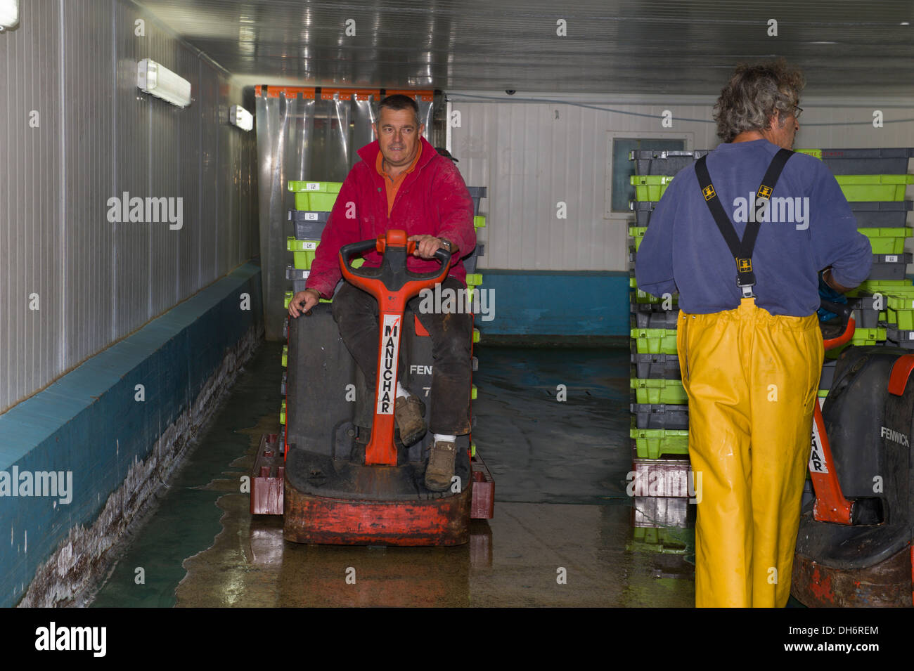Los pescadores traen sus capturas con un equipamiento de almacén del mercado de pescado Foto de stock
