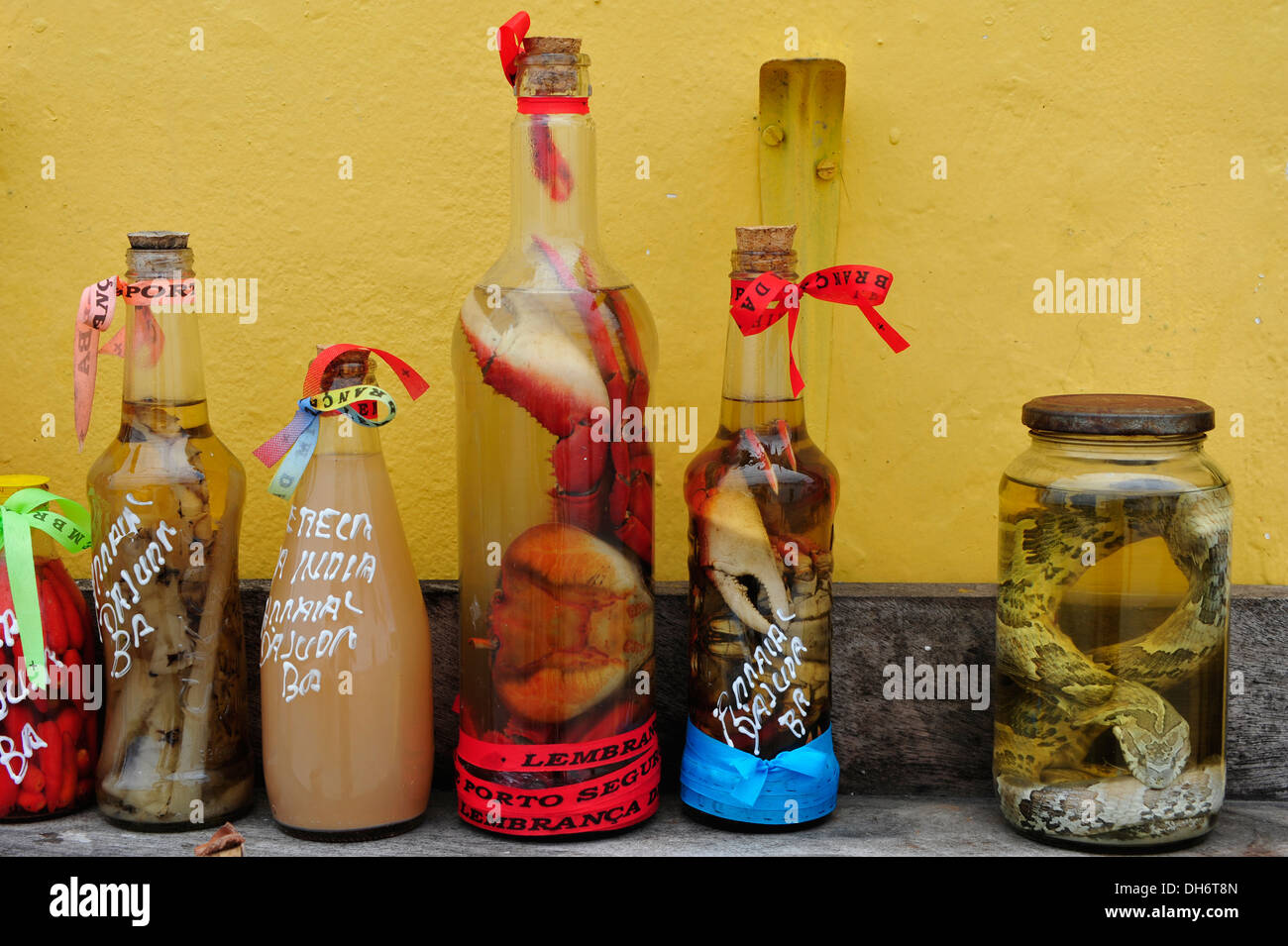 Animales muertos en botellas con alcohol, Arraial d'Ajuda, Bahia, Brasil. Foto de stock