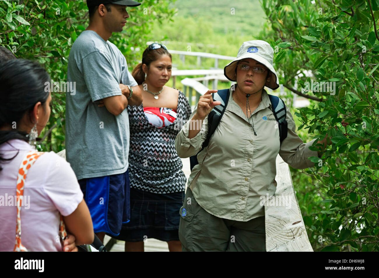 Tour líder Ranger, Las Cabezas de San Juan Nature Reserve, Fajardo, Puerto Rico Foto de stock