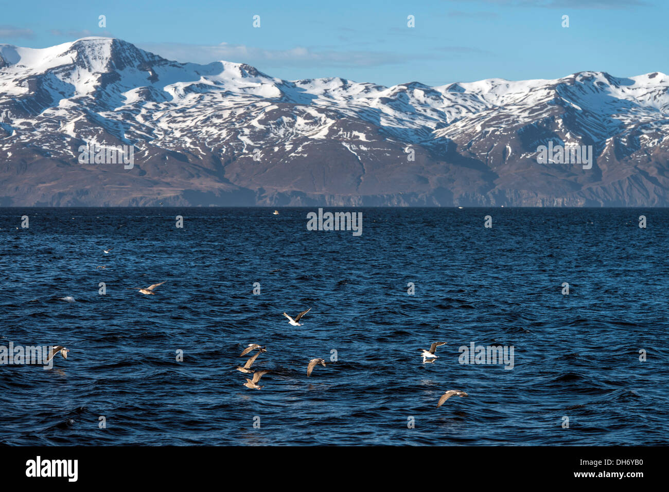 Paisajes del norte de Husavik Islandia Europa Foto de stock
