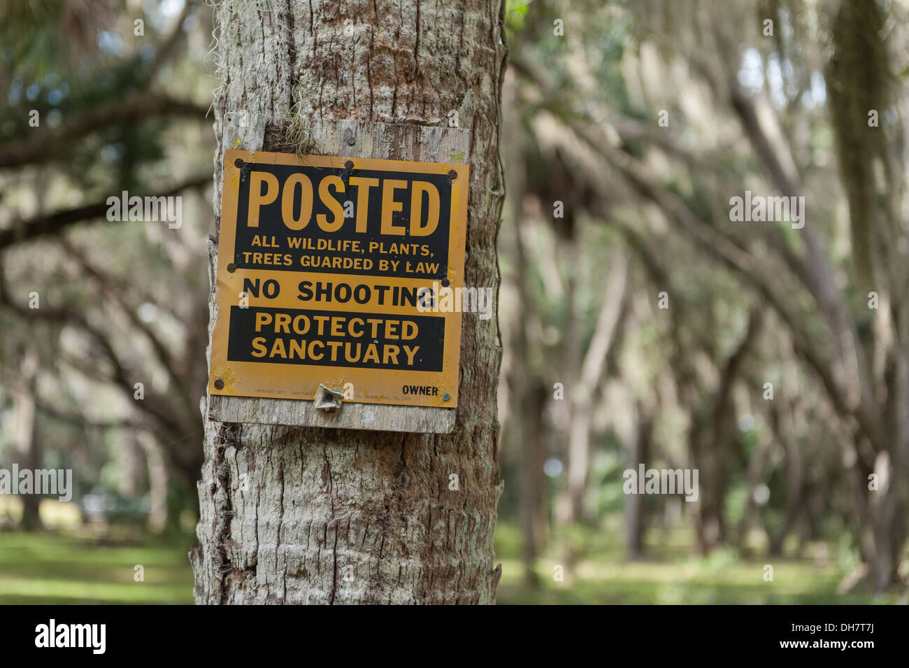 Un signo publicado en Lake County, Florida. No dispara, santuario protegido.  Toda la vida silvestre, plantas, árboles protegidos por la ley Fotografía  de stock - Alamy