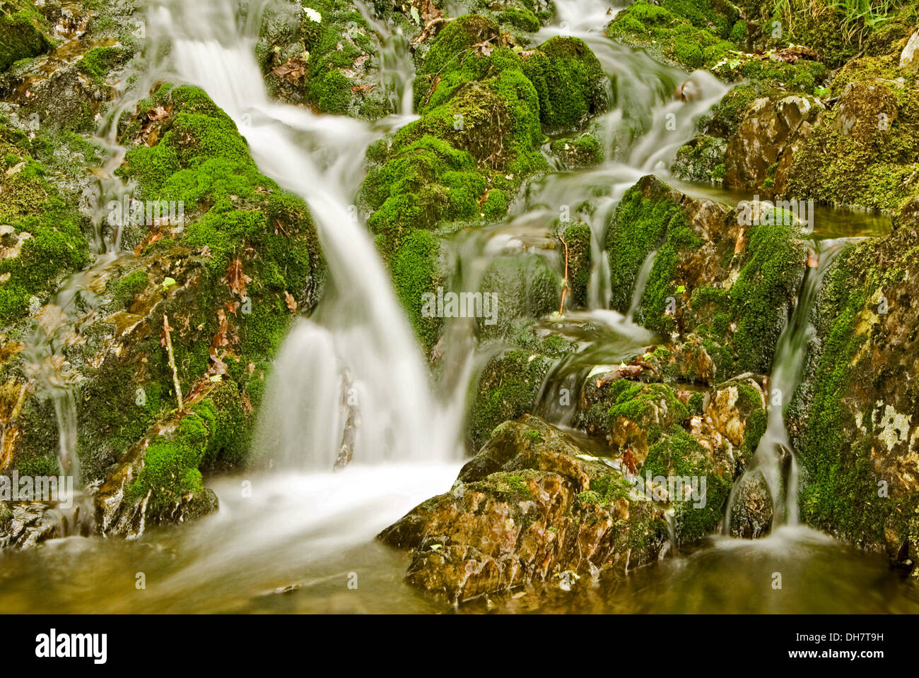 Cascada en un pequeño arroyo de montaña en el valle de elan arbolada en el centro de Gales. Foto de stock