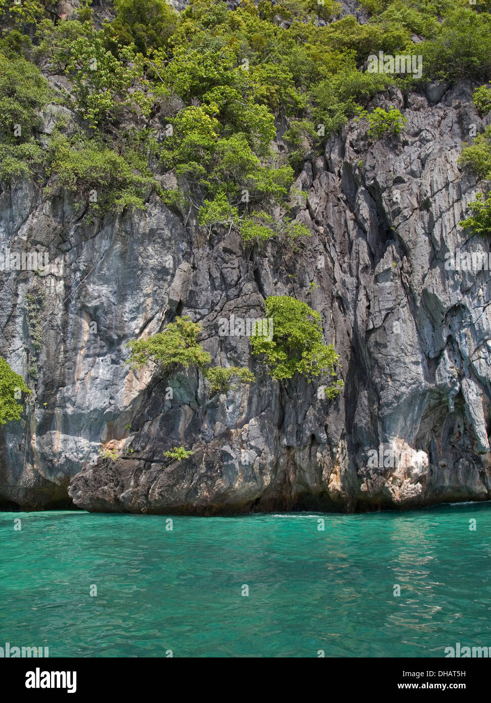 Tropical, transparente, buceo, mar, tropical, Tailandia, acantilados, vegetación, verano, caliente, claro Foto de stock