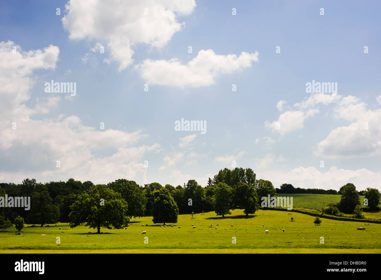 Meadow, vista a través de típico paisaje de la campiña inglesa. Foto de stock