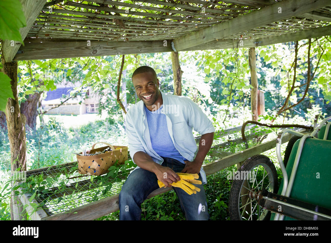 Cultivo y venta de una granja orgánica de hortalizas y frutas. Un hombre trabajando. Foto de stock