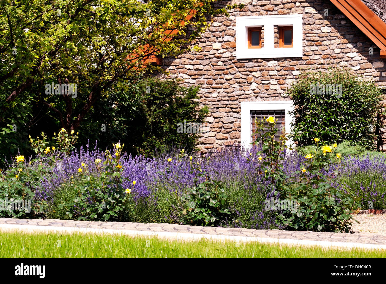 Casa y jardín tradicional con lavanda en Tihany, Hungría Foto de stock