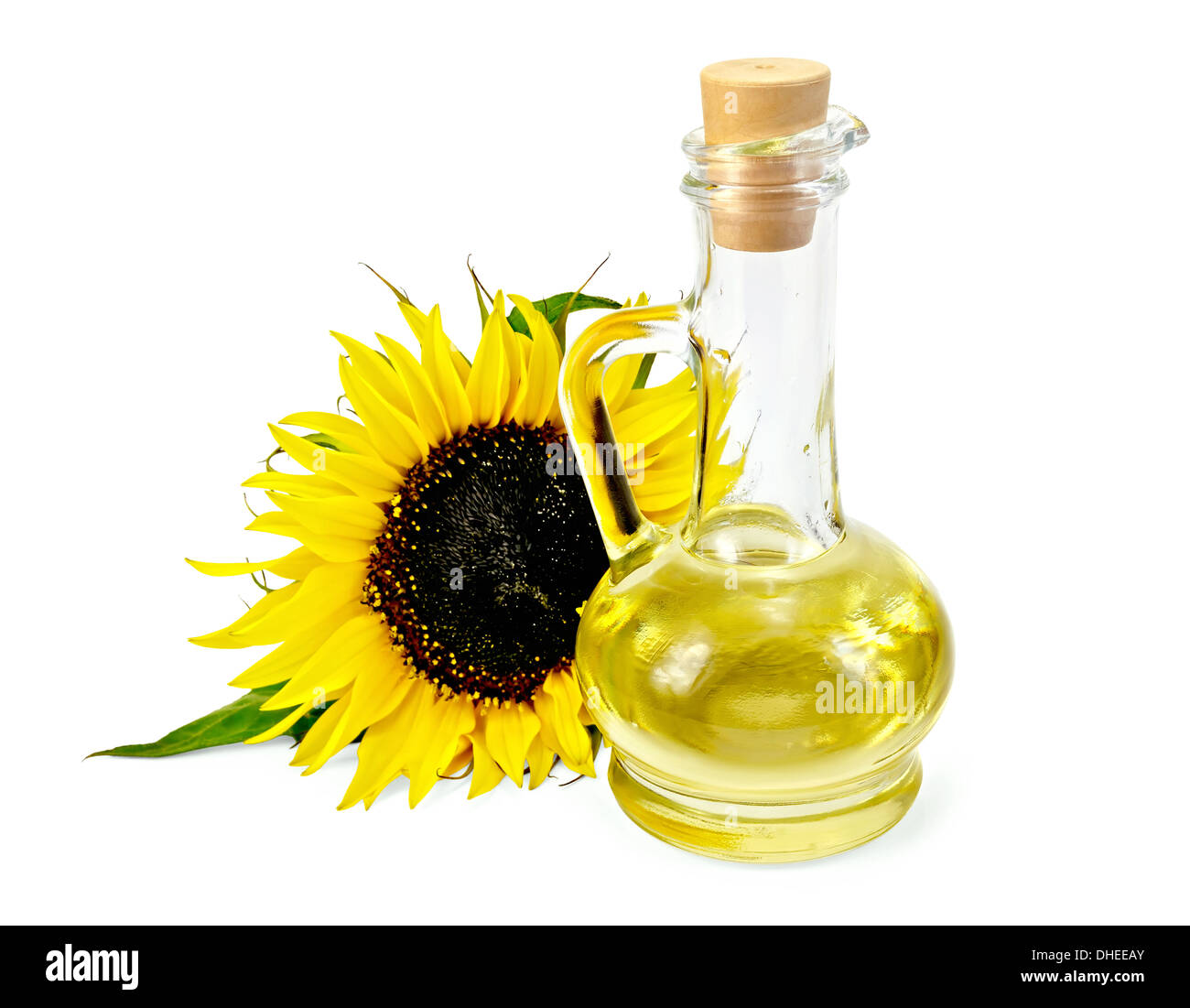 El aceite vegetal en una garrafa de vidrio con un girasol aislado sobre un  fondo blanco Fotografía de stock - Alamy