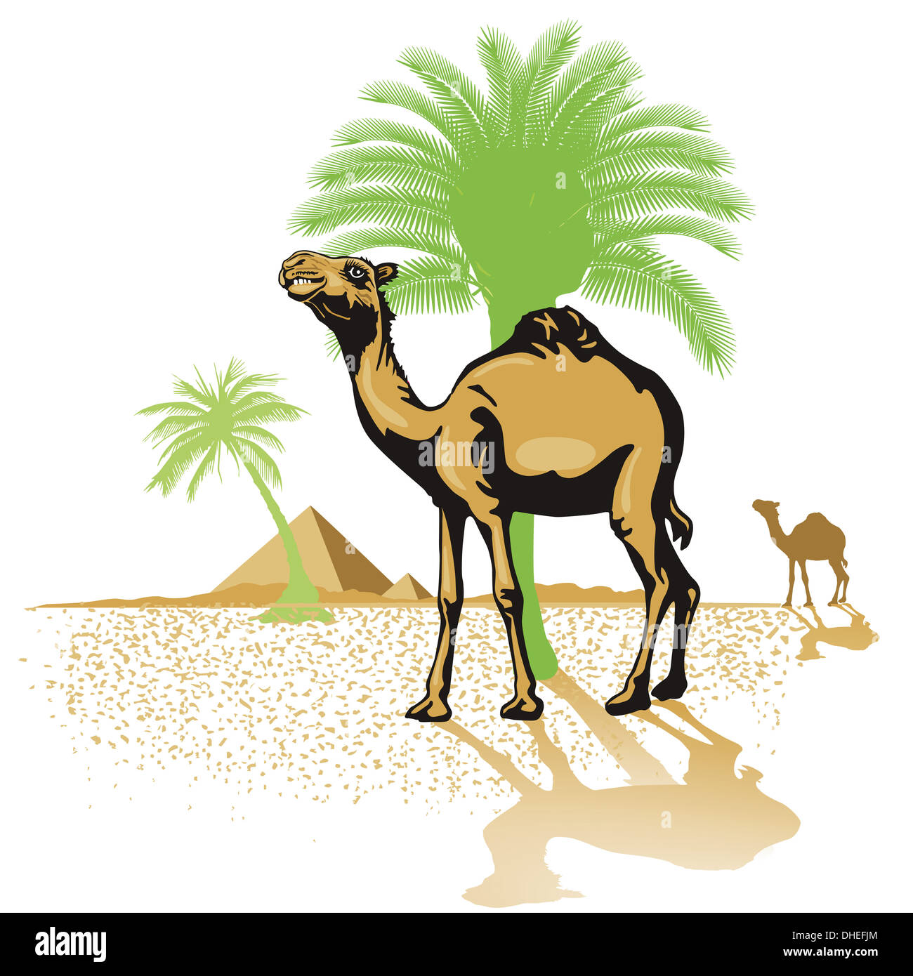 Camello en el desierto Foto de stock