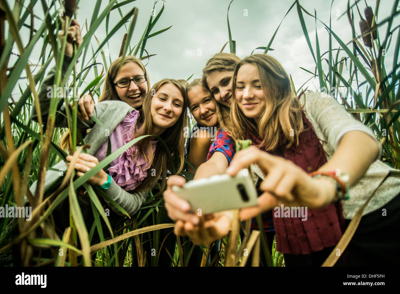 Cinco mujeres jóvenes teniendo en pantanos de autorretrato Foto de stock