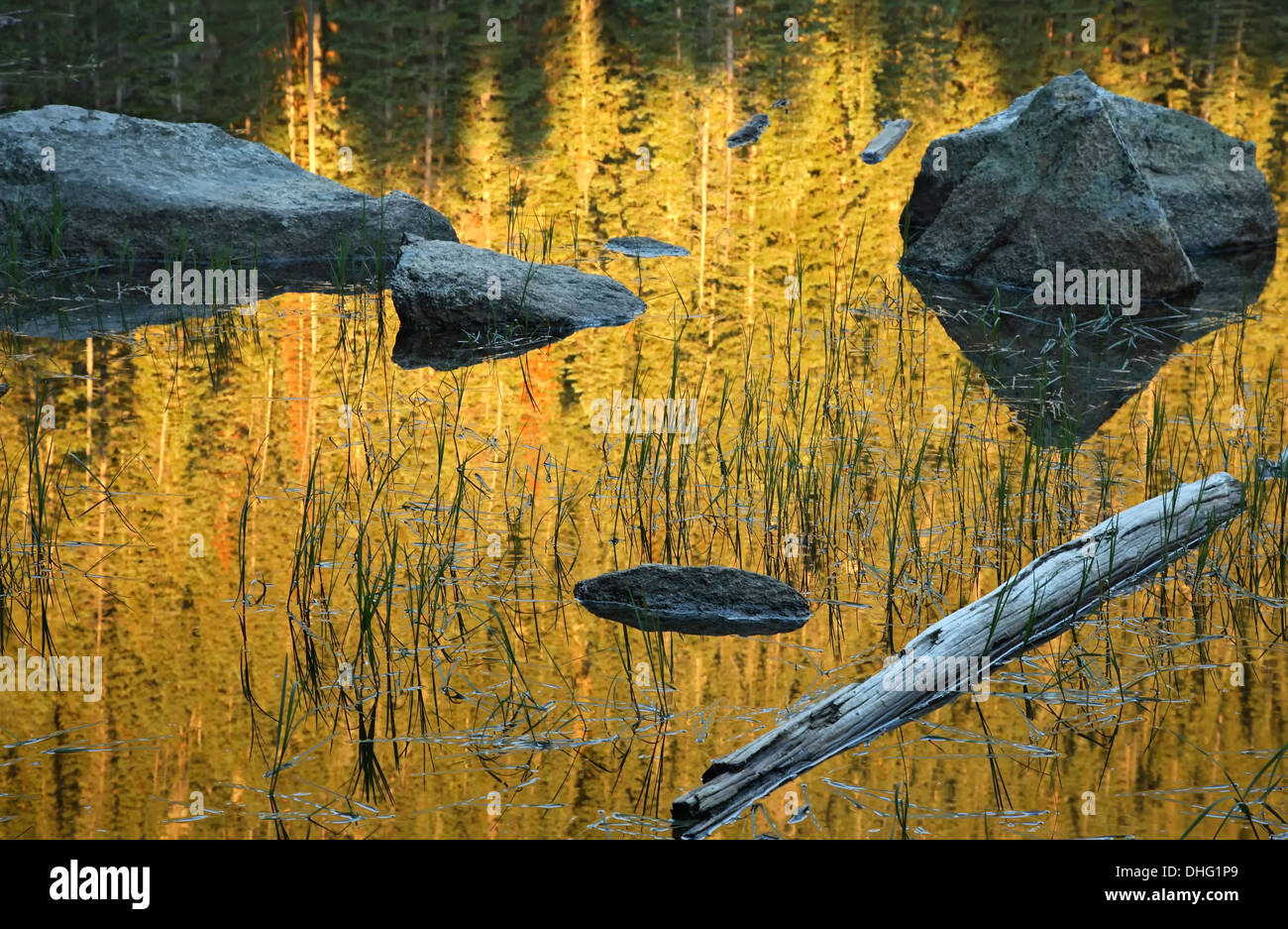 Reflexiones de árboles y rocas/log, el lago Spirit, el Bosque Nacional de Santa Fe, Nuevo México, EE.UU. Foto de stock