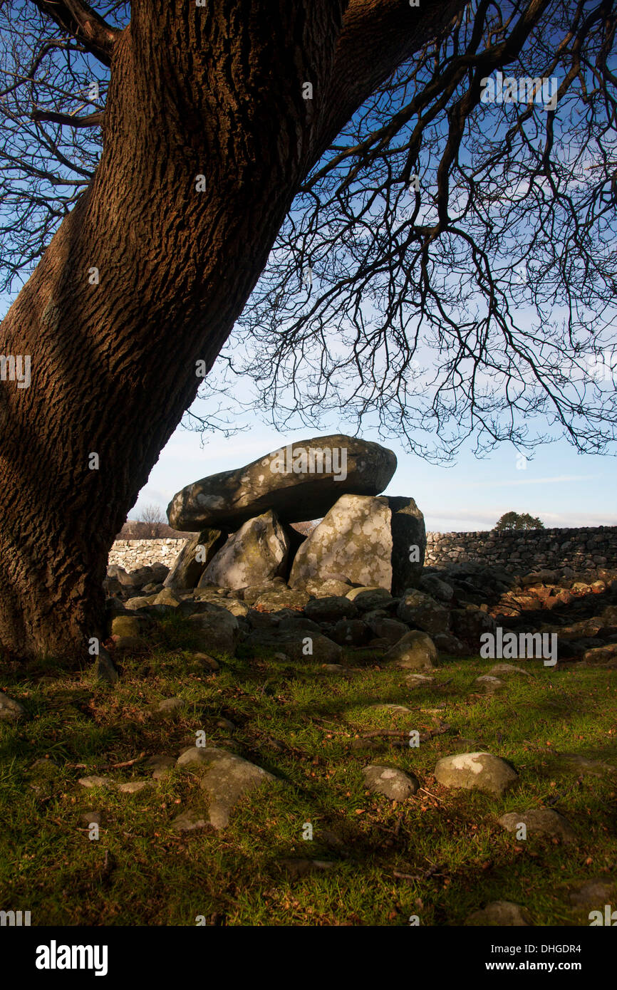 Dyffryn Ardudwy cámara mortuoria neolítica Gwynedd North Wales UK Foto de stock