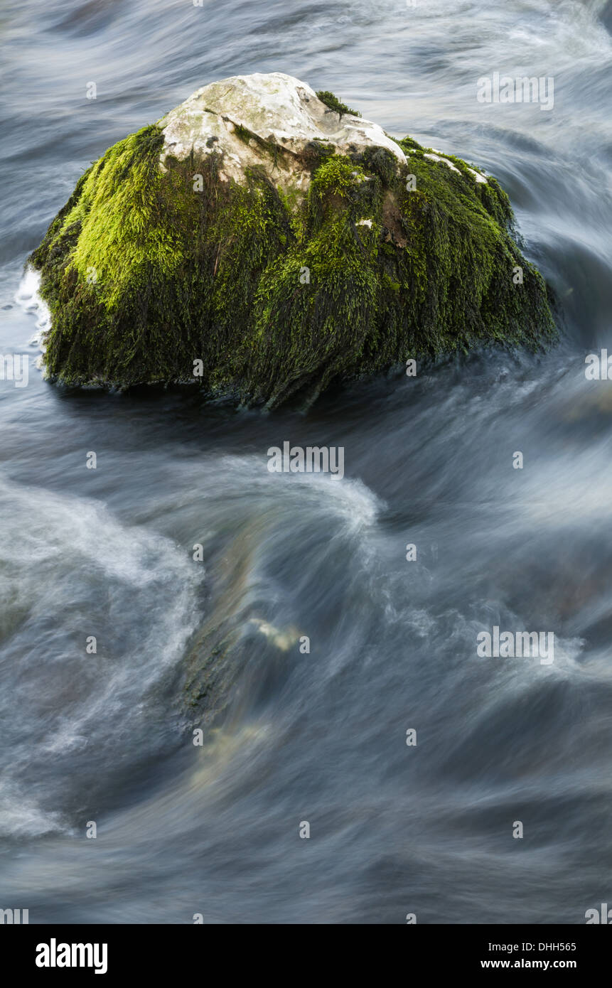 Patrones de agua alrededor de una roca cubiertas de musgo Foto de stock