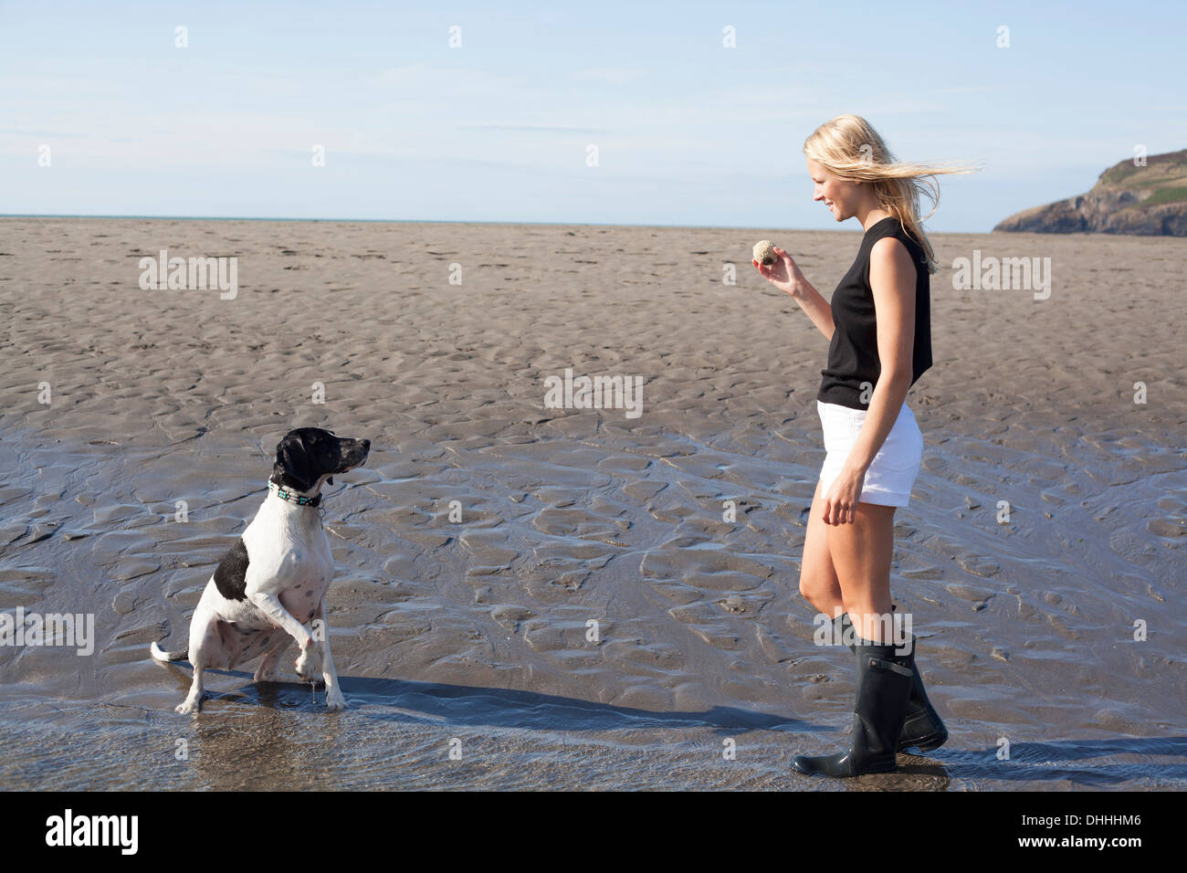 Mujer sosteniendo la bola de perro en la playa, Wales, REINO UNIDO Foto de stock
