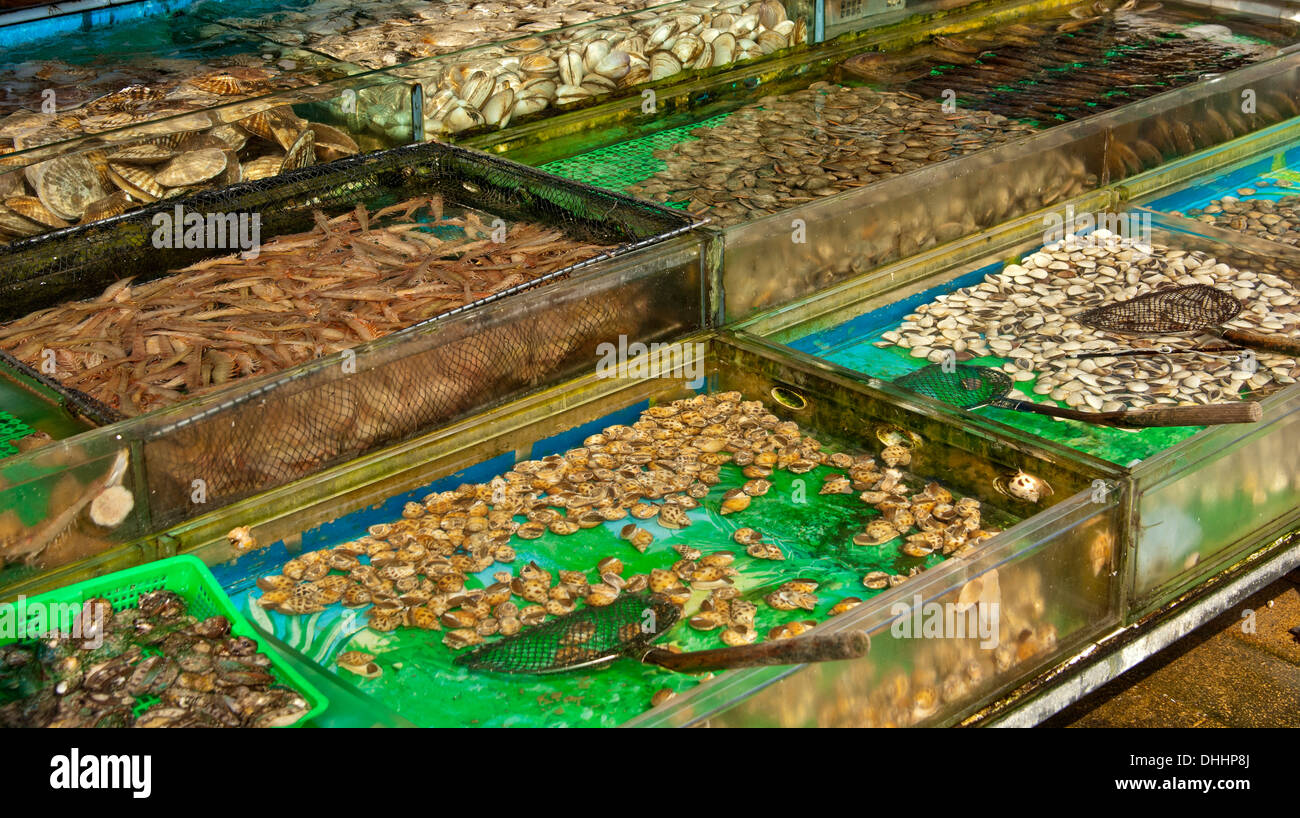 Cuencas con venta de animales marinos vivos, Sai Kung, Hong Kong, China Foto de stock