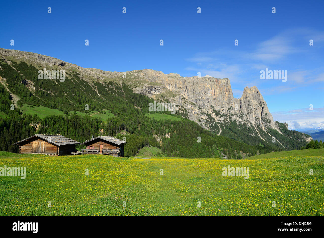 Flor de heno de prado y en frente del granero y Rosszaehne Schlern, Seiseralm, dolomitas, sitio del patrimonio mundial de la UNESCO Dolomitas, así Foto de stock