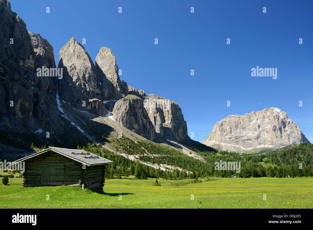 Prados alpinos con heno granero en frente de Sella y gama Langkofel, Sella, dolomitas, sitio del patrimonio mundial de la UNESCO Dolomitas, Sur Foto de stock