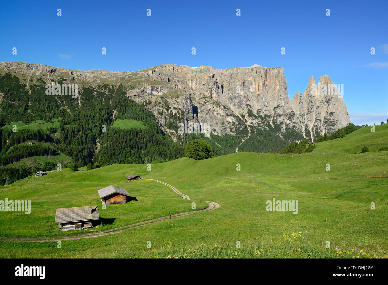 Prados alpinos y delante del granero de heno y Rosszaehne Schlern, Seiseralm, dolomitas, sitio del patrimonio mundial de la UNESCO Dolomitas, Sur Foto de stock