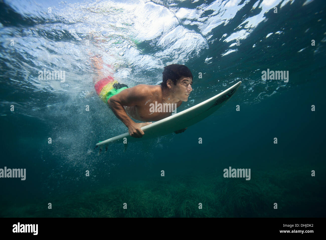 Surfer Pato Inmersiones bajo el agua. Foto de stock