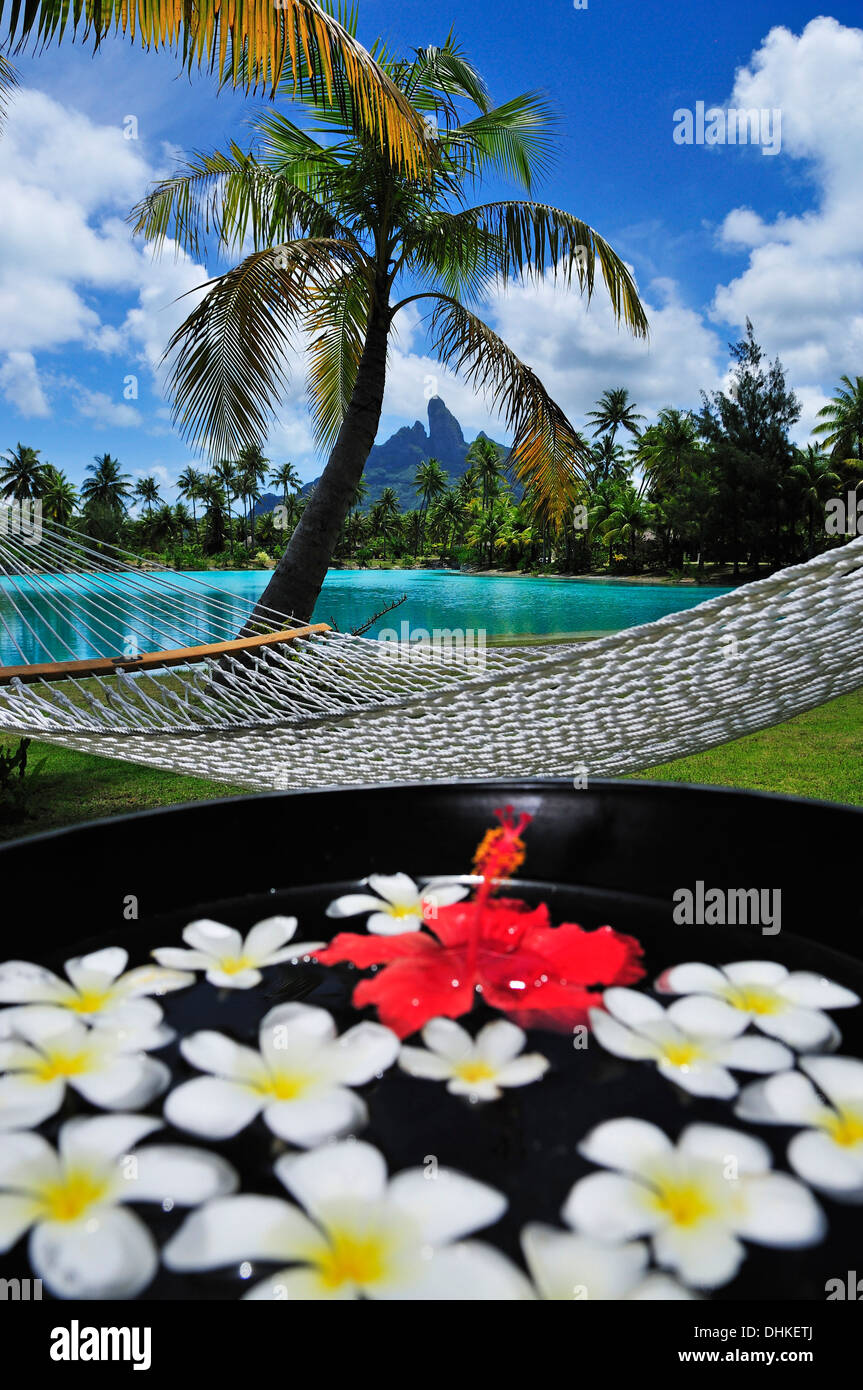 Una hamaca entre dos palmeras, San Regis Resort Bora Bora, Bora Bora, Islas  Sociedad, Polinesia Francesa, las Islas de Barlovento, por lo que  Fotografía de stock - Alamy
