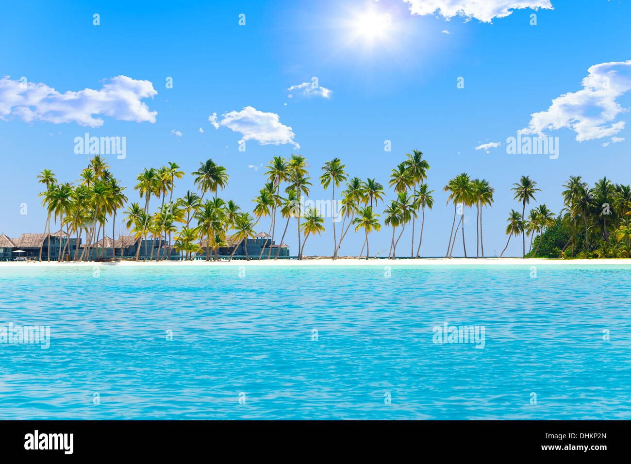 Palmeras en isla tropical Foto de stock