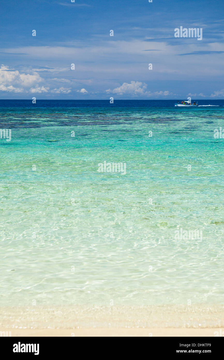 Vueltas de agua claras del caribe tropical beach Foto de stock