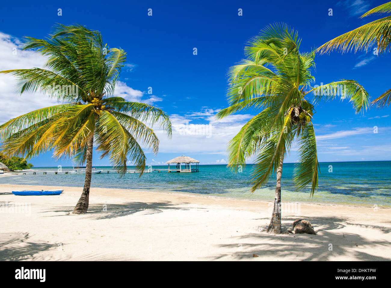 Playa Tropical de Palmetto Bay en la isla caribeña de Roatán Foto de stock