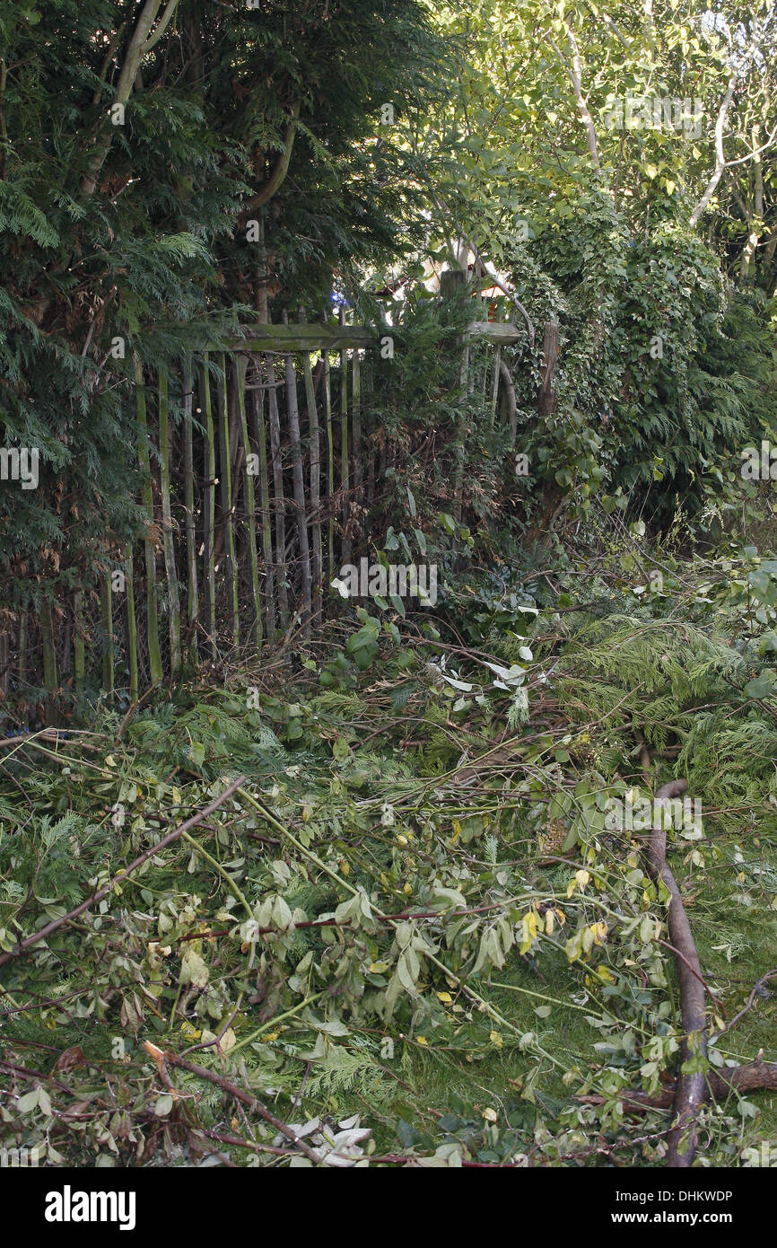 Imagen de talar arbustos en el jardín Foto de stock